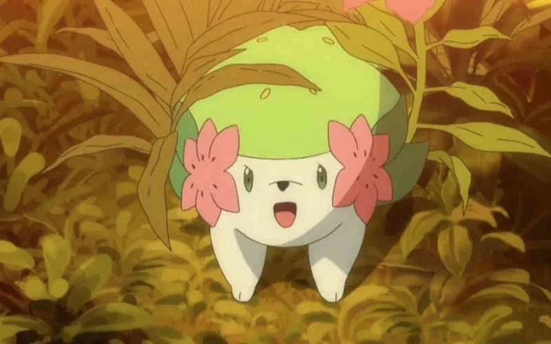 SHAYMIN