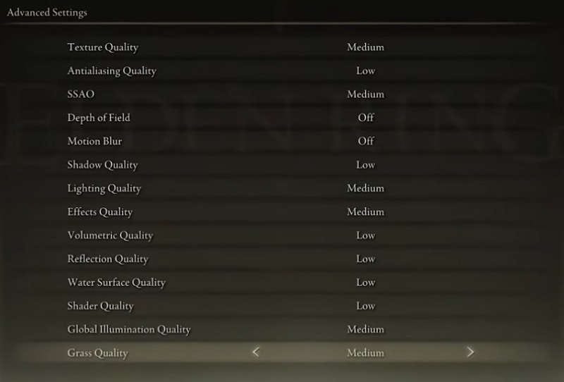 Elden Ring Settings