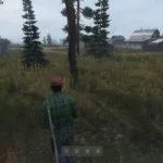 DayZ