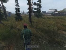 DayZ