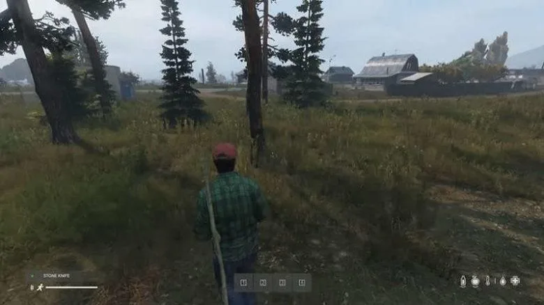 DayZ