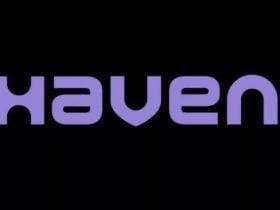 Haven Studios