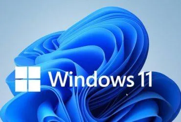 Windows 11