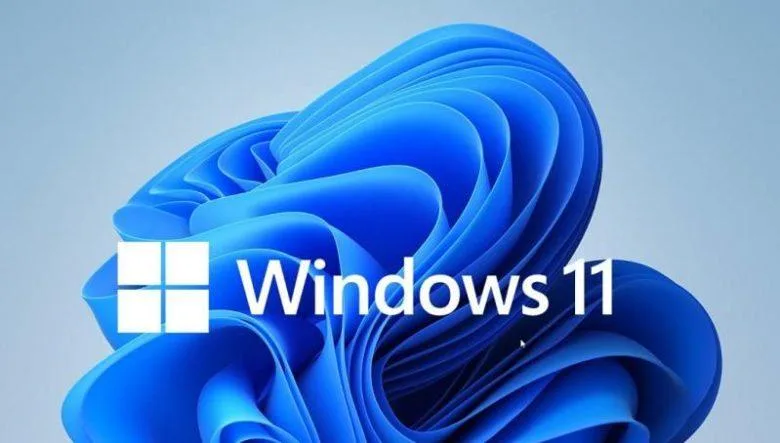 Windows 11