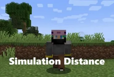 Simulation Distance