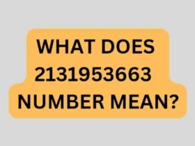 NUMBER